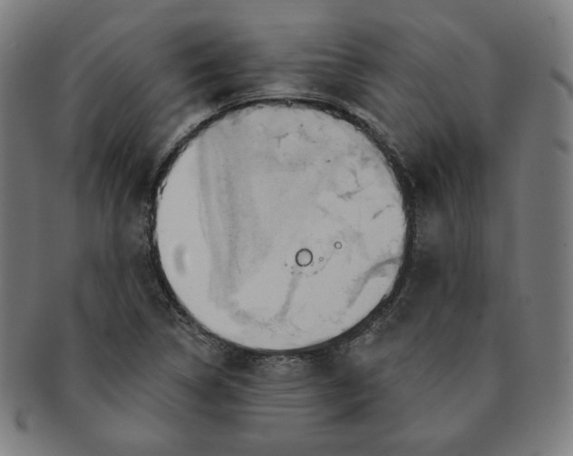 X0000090981314200708241354