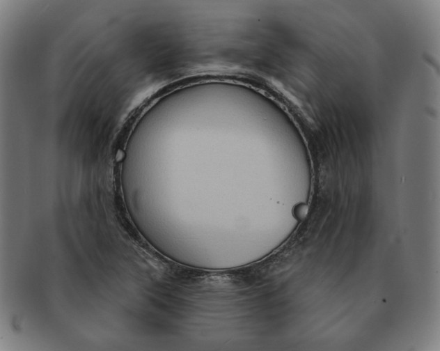 X0000090981315200708241354