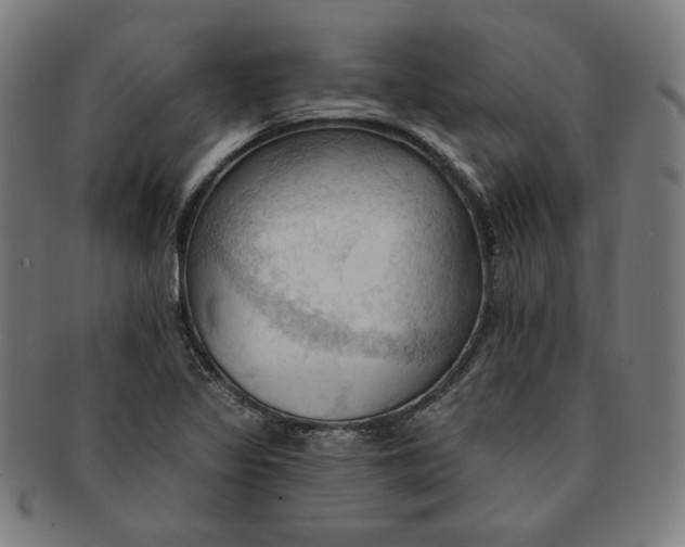 X0000090981317200708241354