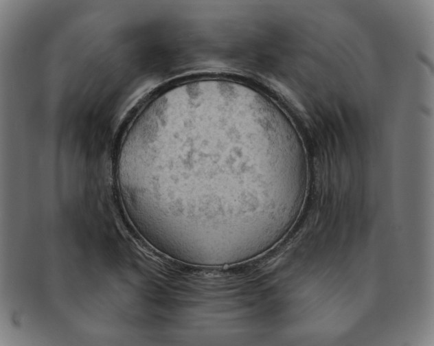 X0000090981318200708241354