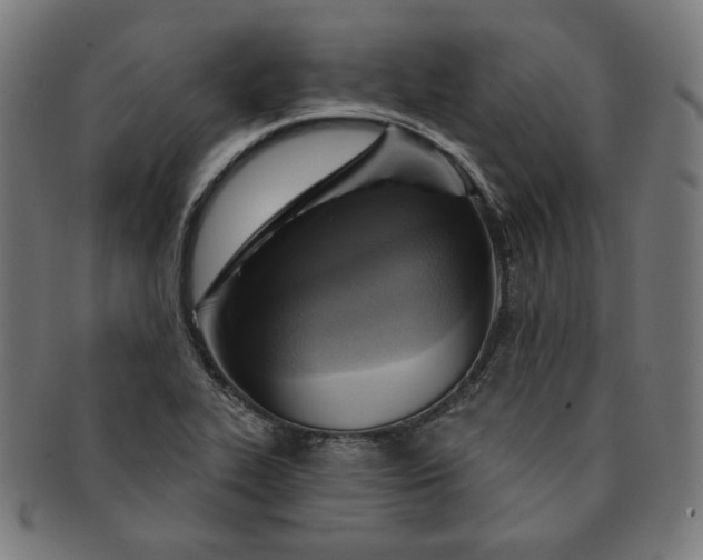 X0000090981319200708241354