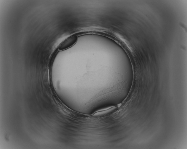 X0000090981320200708241354