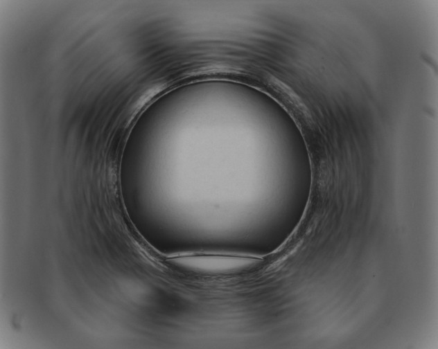 X0000090981321200708241354