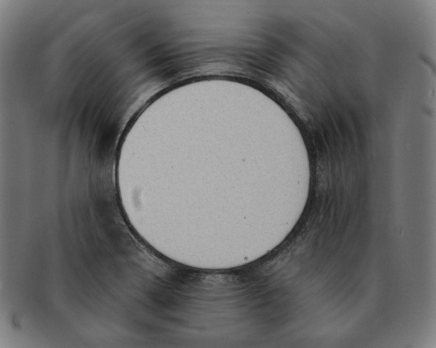 X0000090981322200708241354