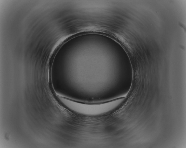 X0000090981323200708241354