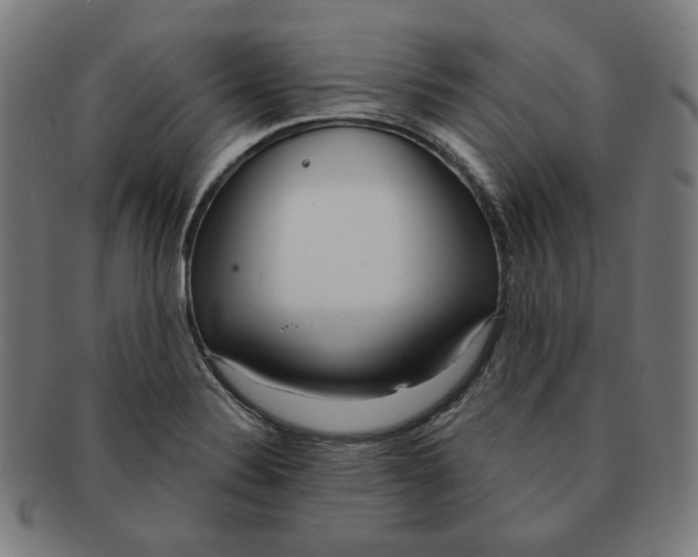 X0000090981324200708241354
