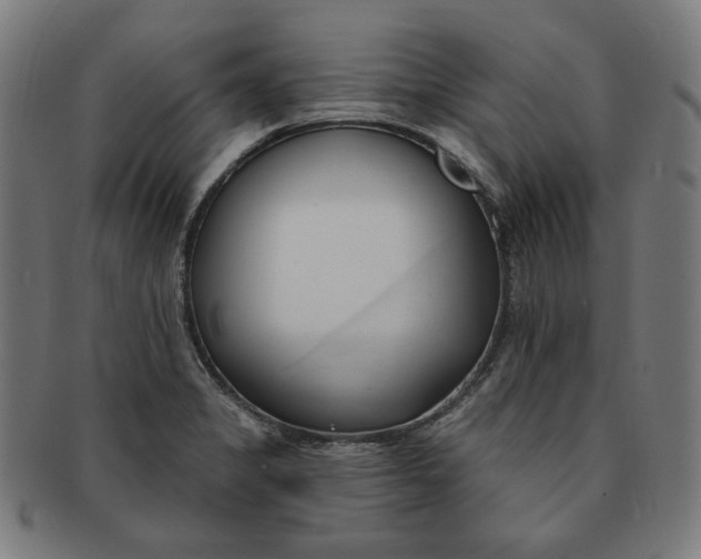 X0000090981325200708241354