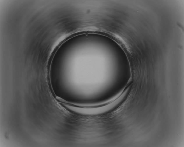 X0000090981326200708241354