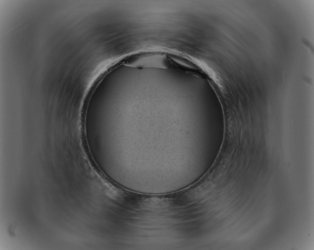 X0000090981327200708241354