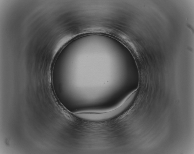 X0000090981328200708241354