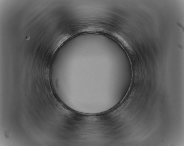 X0000090981329200708241354