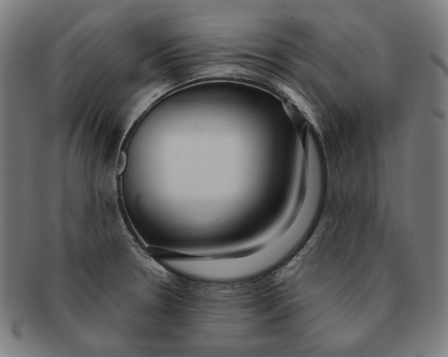 X0000090981330200708241354