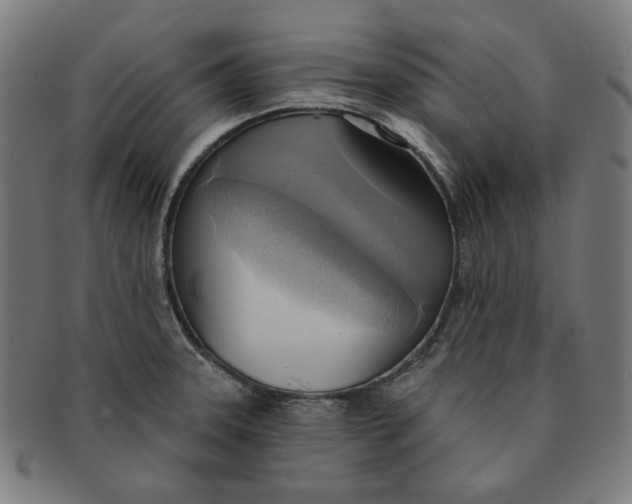 X0000090981331200708241354