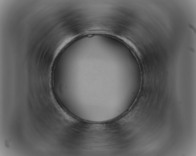 X0000090981333200708241354