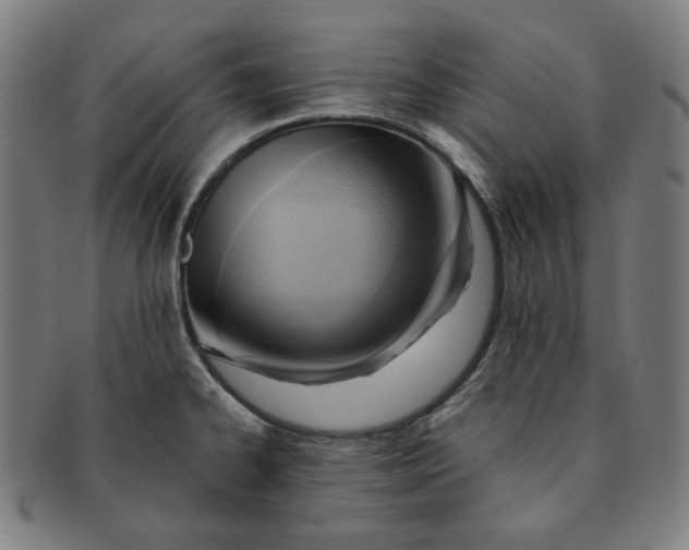 X0000090981334200708241354