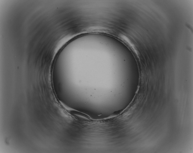 X0000090981336200708241354