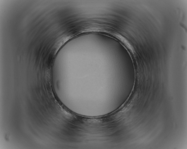 X0000090981337200708241354