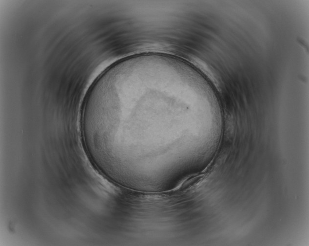 X0000090981339200708241354