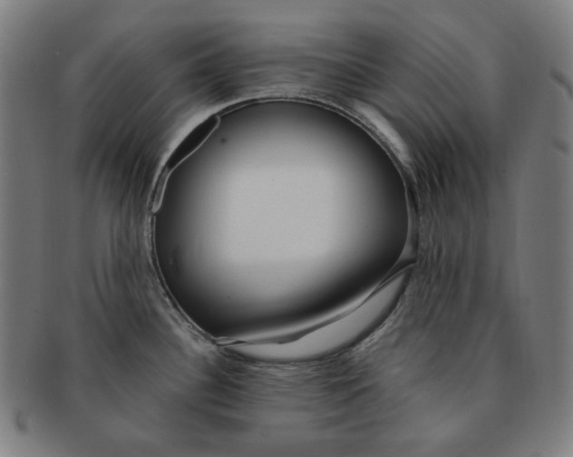 X0000090981340200708241354