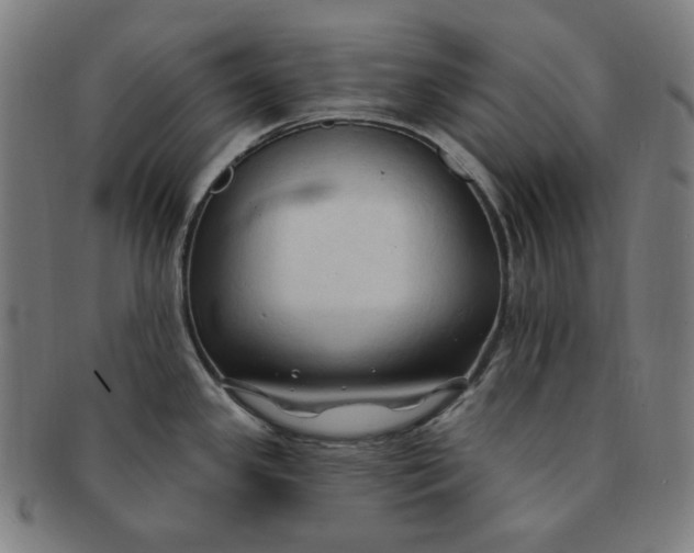 X0000090981341200708241354