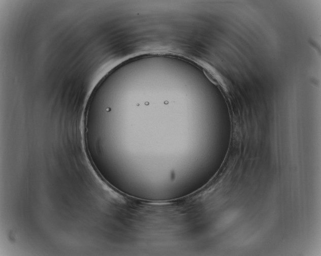 X0000090981343200708241354