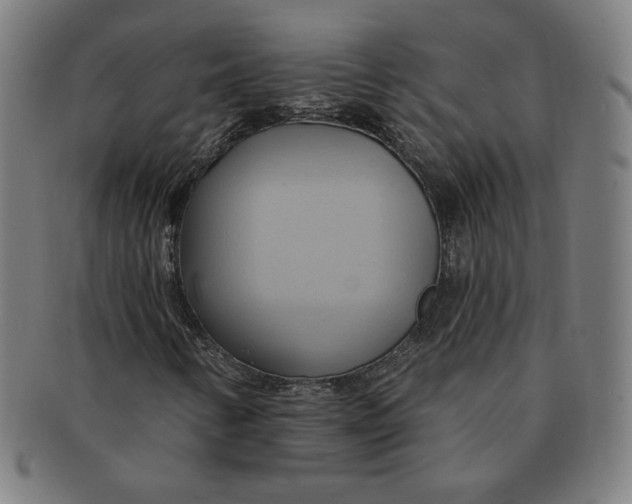 X0000090981346200708241354