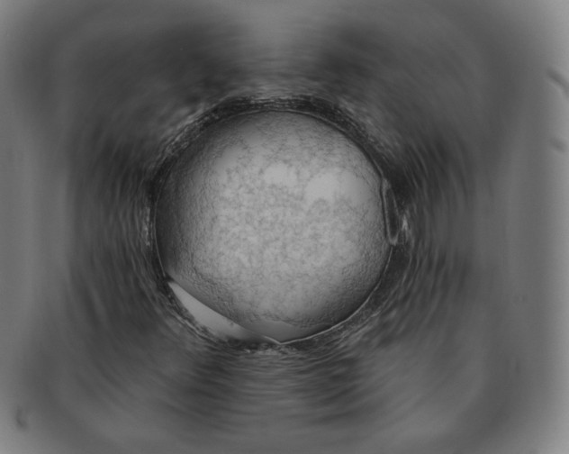 X0000090981348200708241354