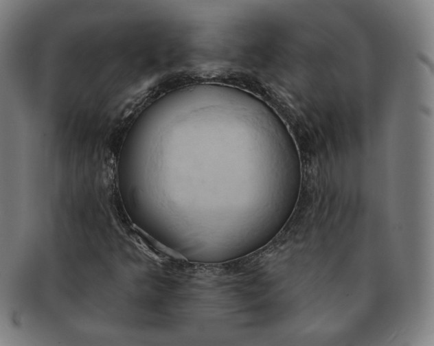 X0000090981349200708241354