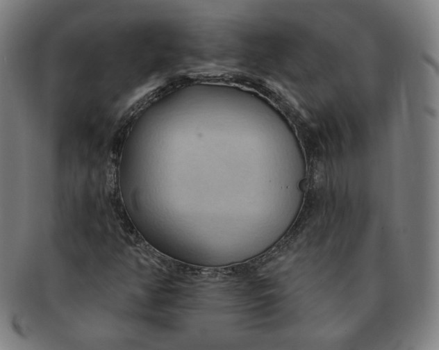 X0000090981350200708241354