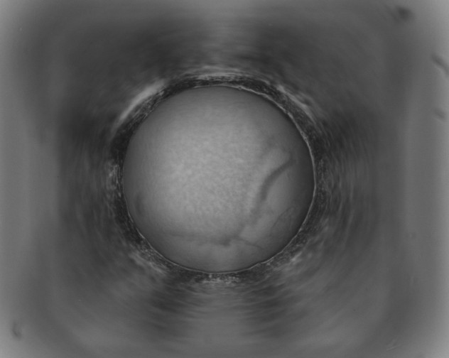 X0000090981351200708241354