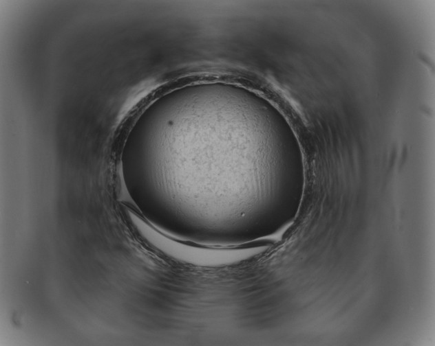 X0000090981352200708241354