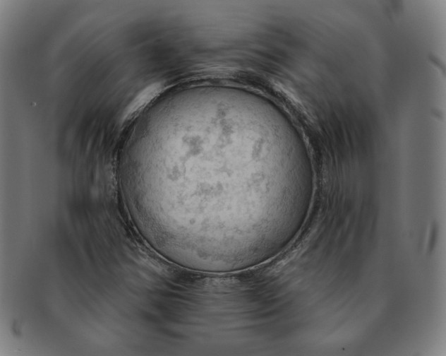 X0000090981354200708241354