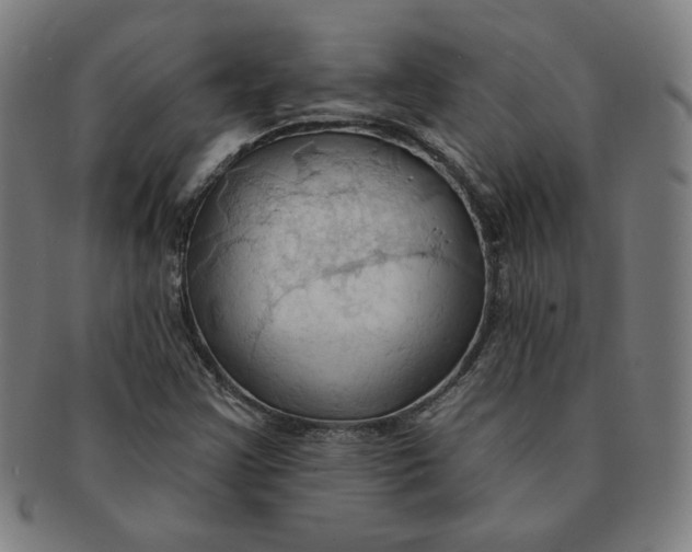 X0000090981355200708241354
