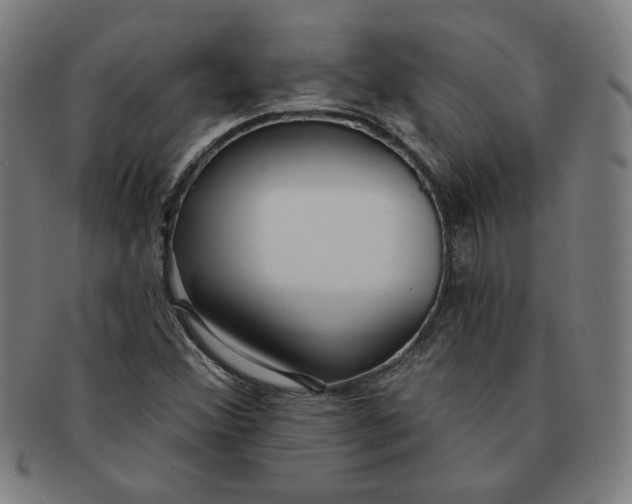 X0000090981356200708241354
