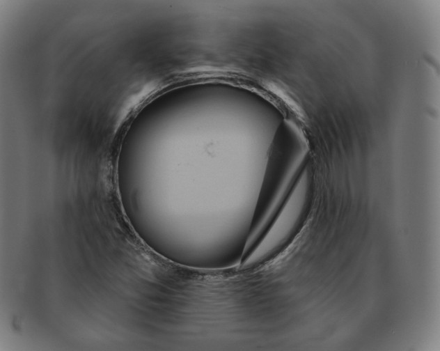 X0000090981357200708241354