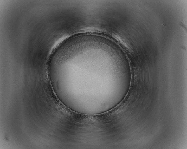 X0000090981358200708241354