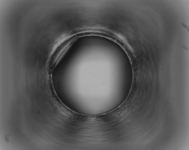 X0000090981360200708241353