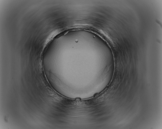 X0000090981362200708241353