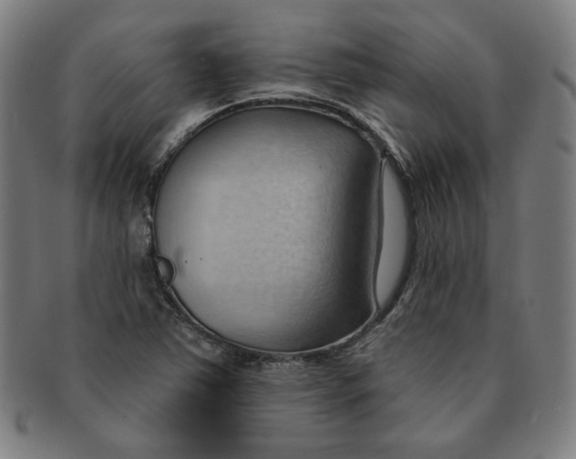 X0000090981363200708241353