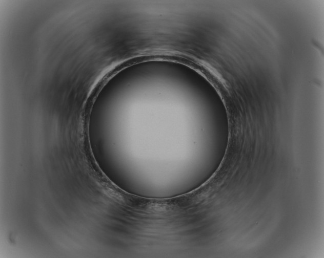 X0000090981364200708241353