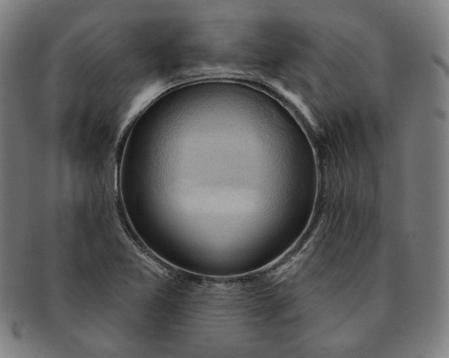 X0000090981365200708241353