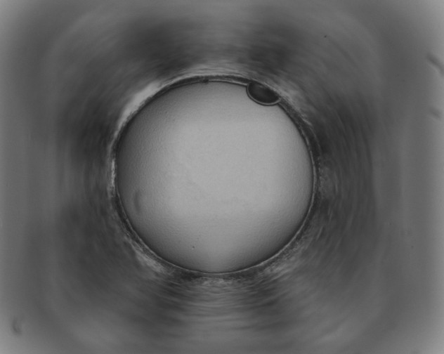 X0000090981366200708241353