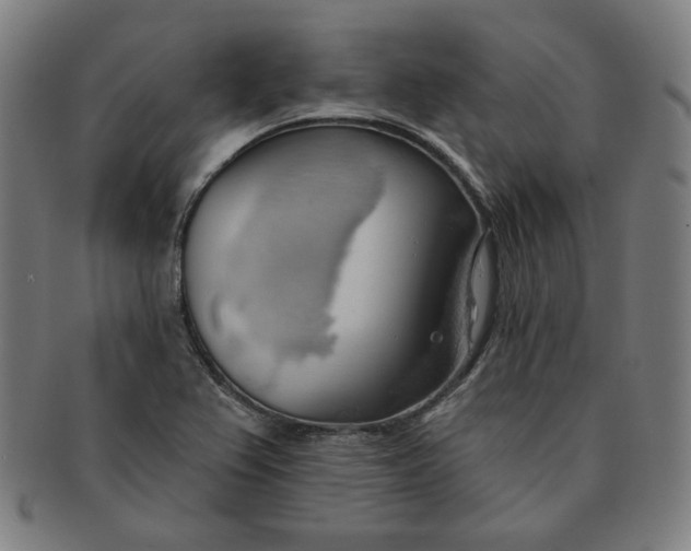 X0000090981367200708241353