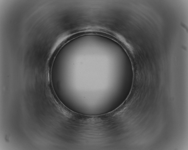 X0000090981368200708241353