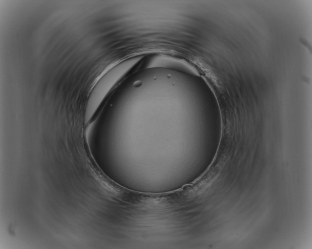 X0000090981369200708241353