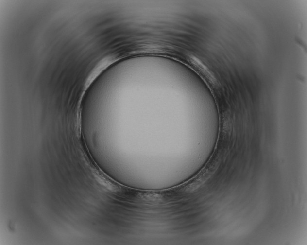 X0000090981370200708241353