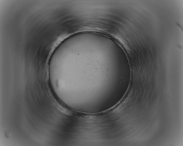X0000090981371200708241353