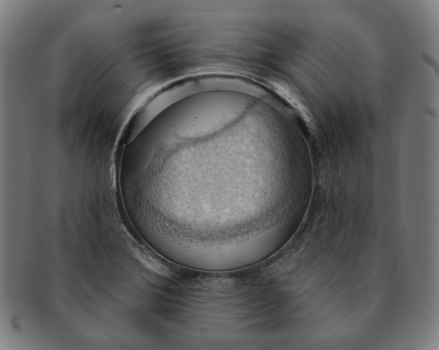 X0000090981372200708241353