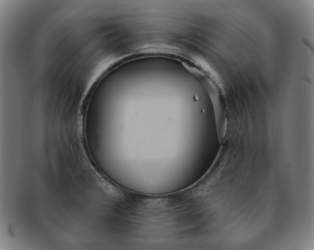 X0000090981376200708241353