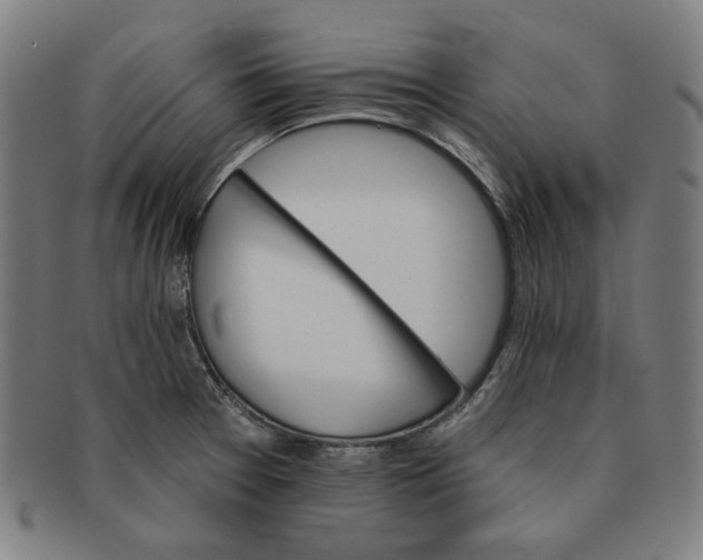 X0000090981377200708241353